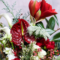 'The Holiday to Remember' - Christmas Flowers