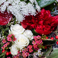 A Joyful Squeeze - Christmas Flowers -
