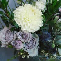 Ray of Light - Arrangement