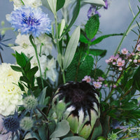Ray of Light - Arrangement
