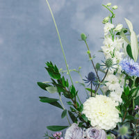Ray of Light - Arrangement