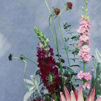 The Beauty - Arrangement