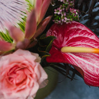 The Beauty - Arrangement