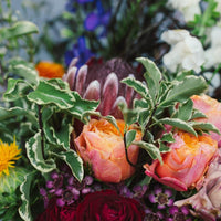 The Vernon - Bouquets