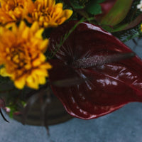 Warm Weather - Arrangement