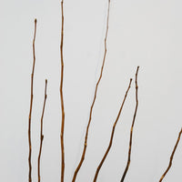 Work #18 -