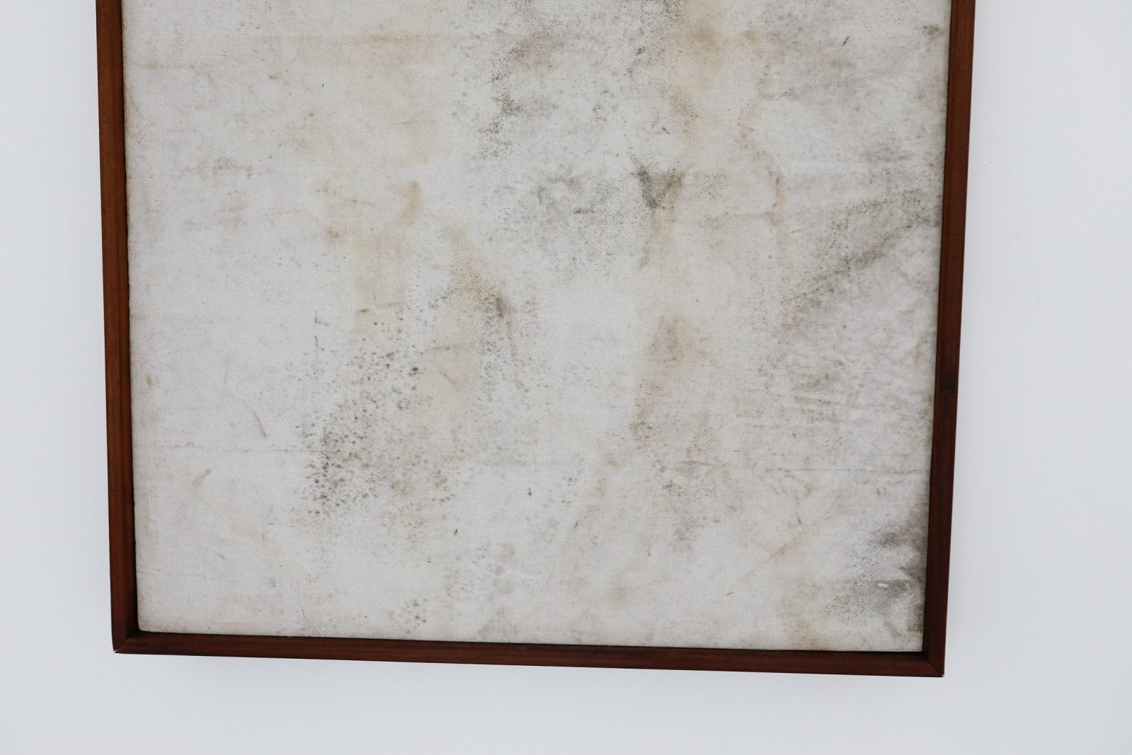 Fungi Painting – Handmade Art in Los Angeles – The Unlikely Florist