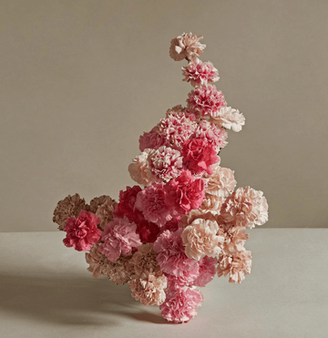 The January Birth Flower Smells Like Clove - The Unlikely Florist