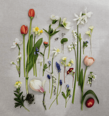 The Wedding Flower Checklist I Actually Use - The Unlikely Florist