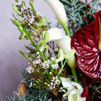 'The Holiday to Remember' - Christmas Flowers