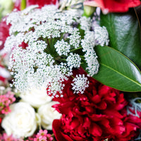 'The Holiday to Remember' - Christmas Flowers