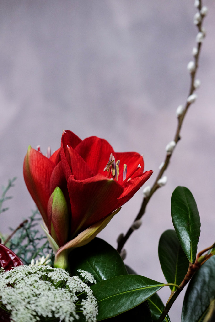 'The Holiday to Remember' - Christmas Flowers