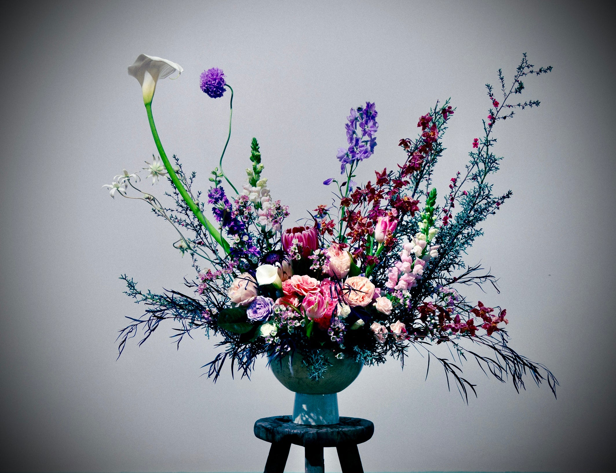 First Night in the House