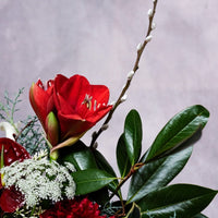 A Joyful Squeeze - Christmas Flowers - 