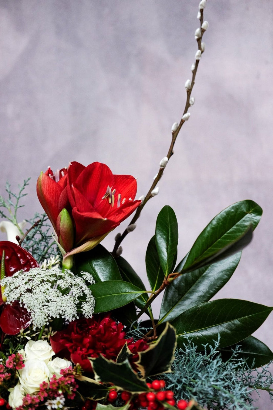 A Joyful Squeeze - Christmas Flowers - 