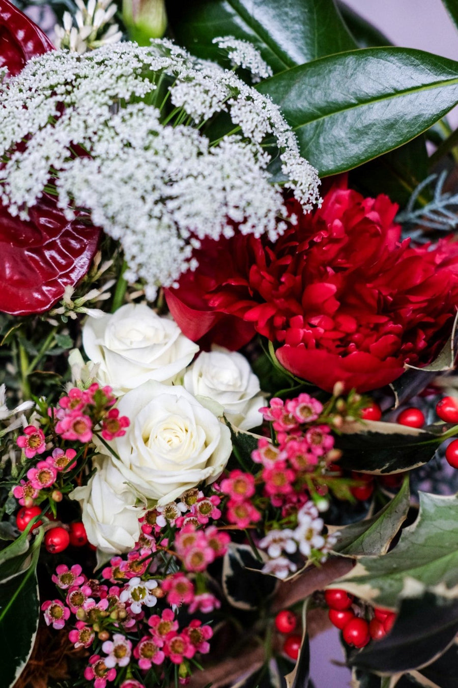 A Joyful Squeeze - Christmas Flowers - 
