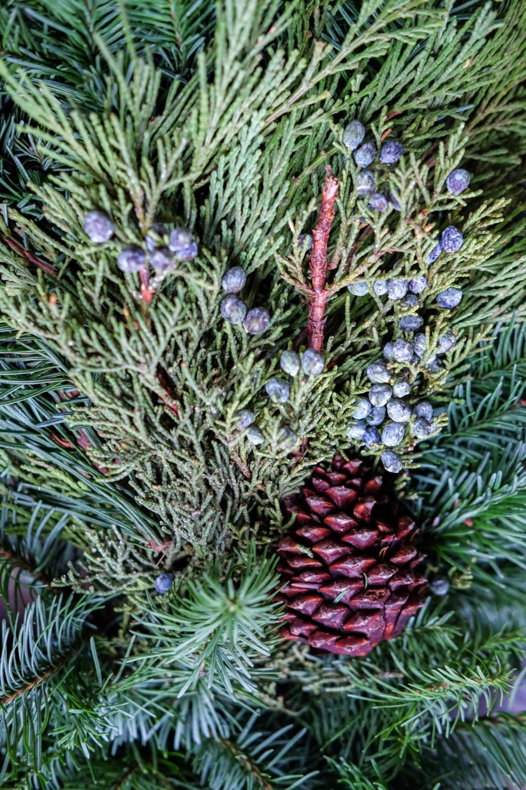 "Come One, Come All" - Wreaths - Christmas Flowers - 