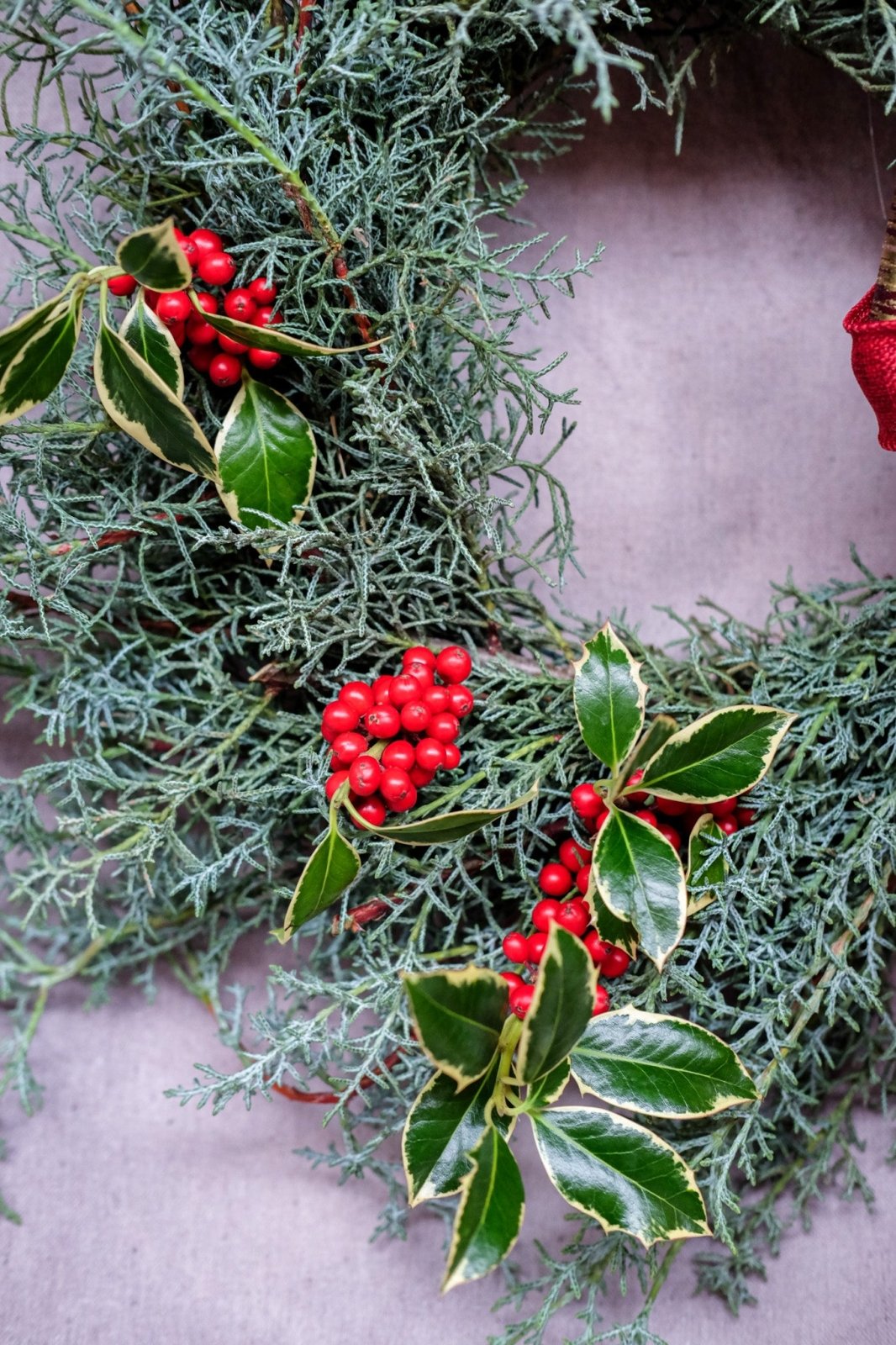 "Come One, Come All" - Wreaths - Christmas Flowers - 