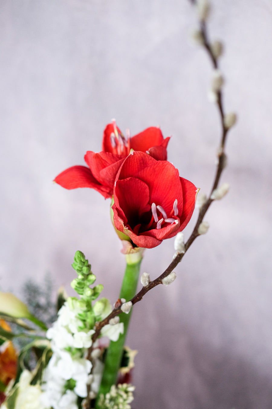 The Embrace of Revelry - Christmas Flowers
