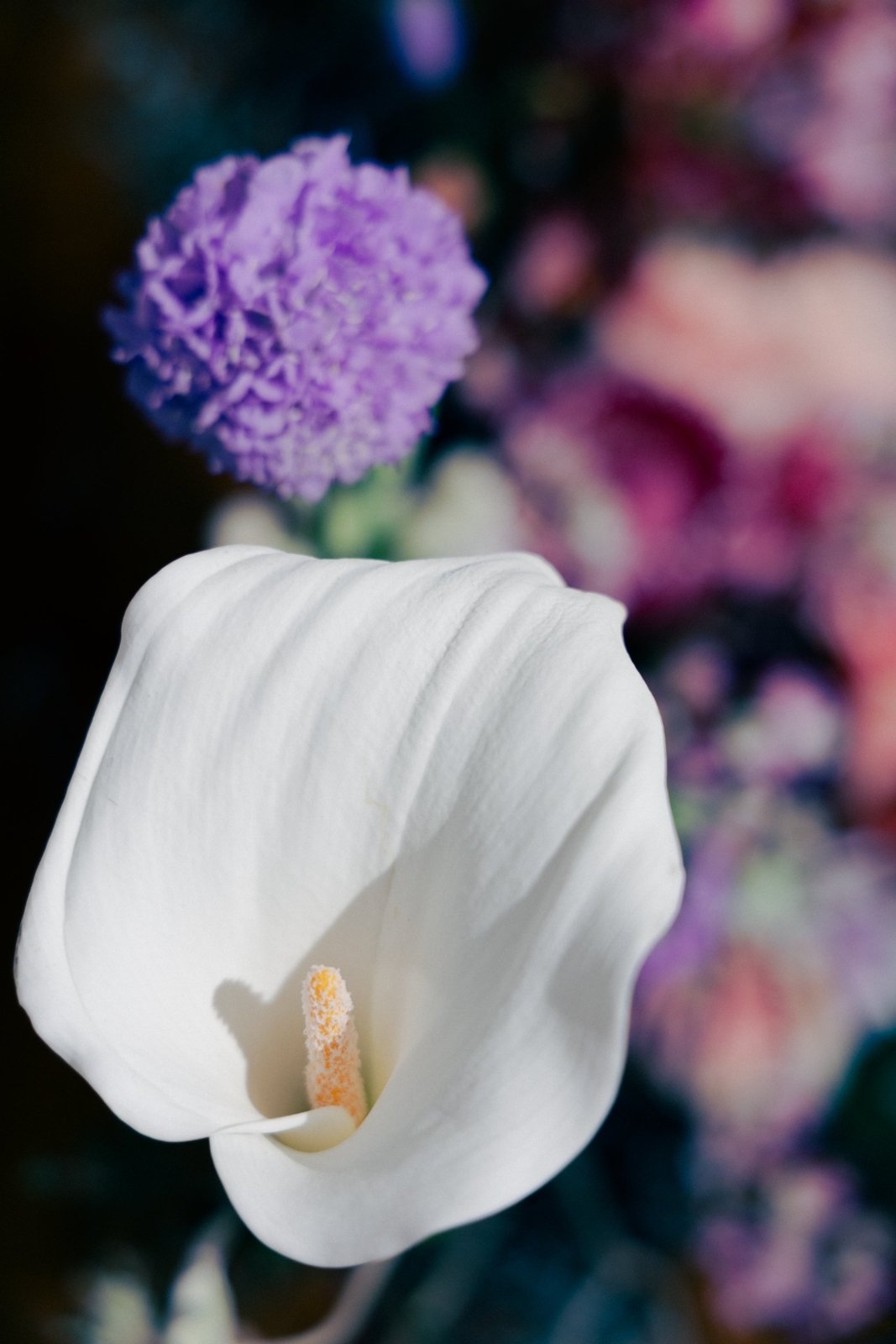 First Night in the House - 