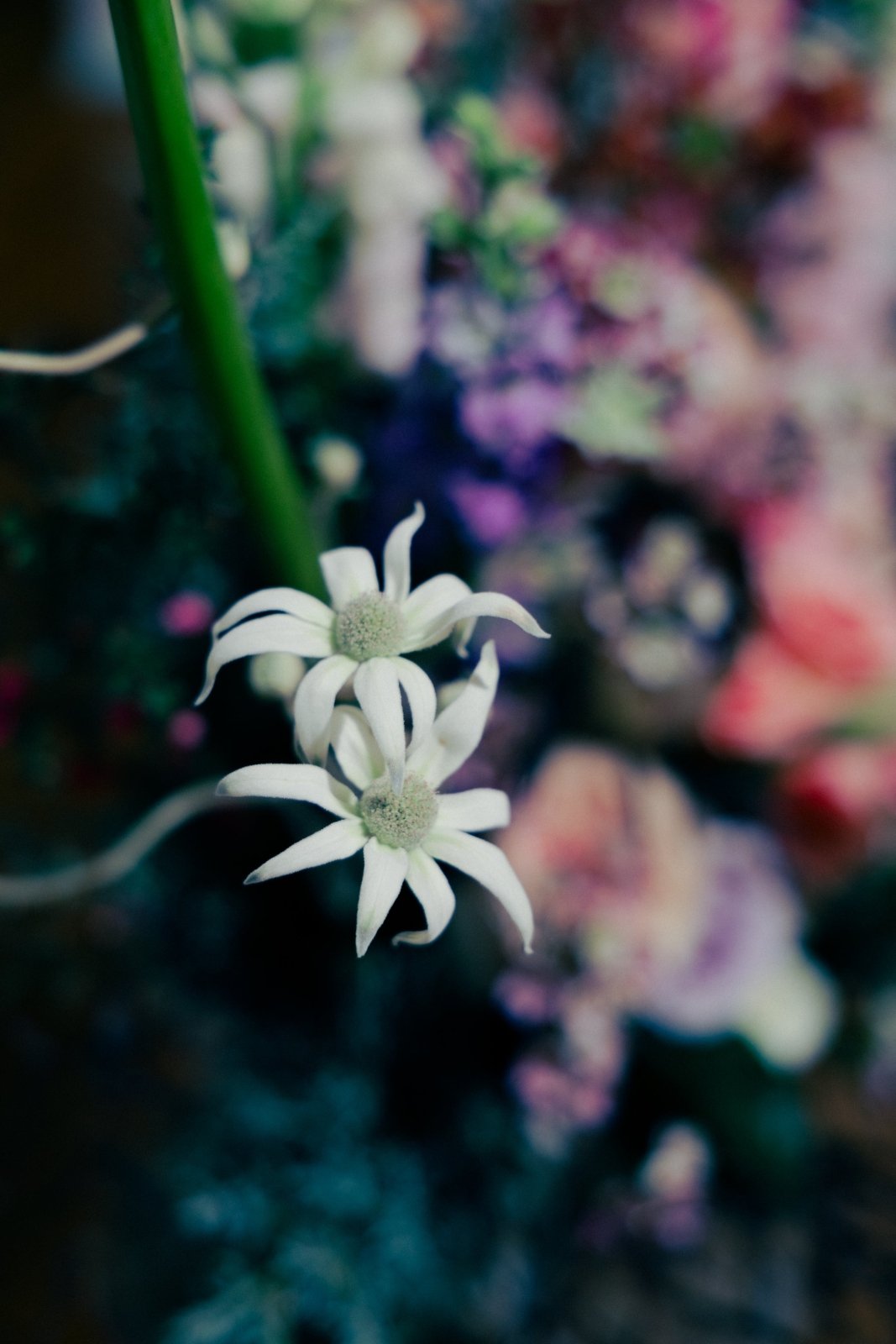 First Night in the House - 