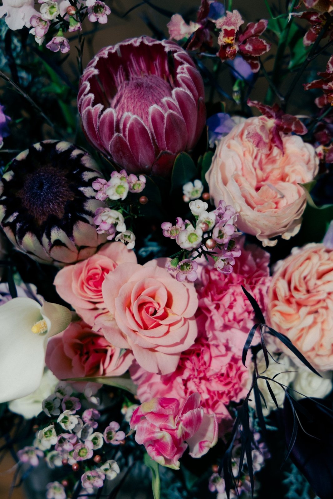 First Night in the House - 