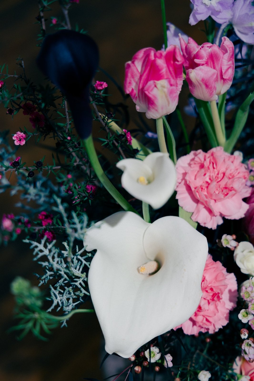 Old Love, New Address - 