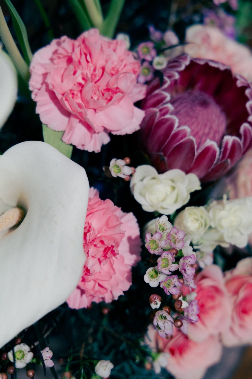 Old Love, New Address - 