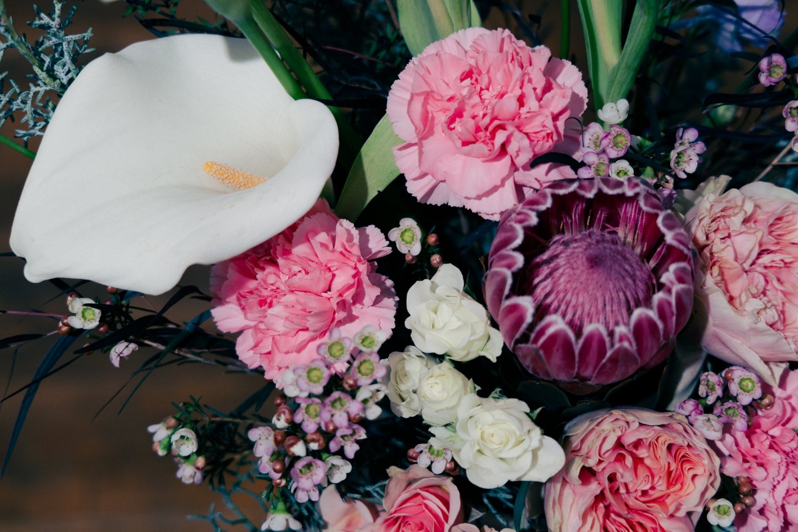 Old Love, New Address - 