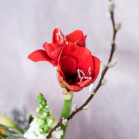 The Embrace of Revelry - Christmas Flowers - 