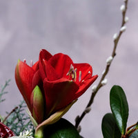'The Holiday to Remember' - Christmas Flowers - Bouquets