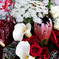 The Spirit of the Gleeful - Christmas Flowers - 