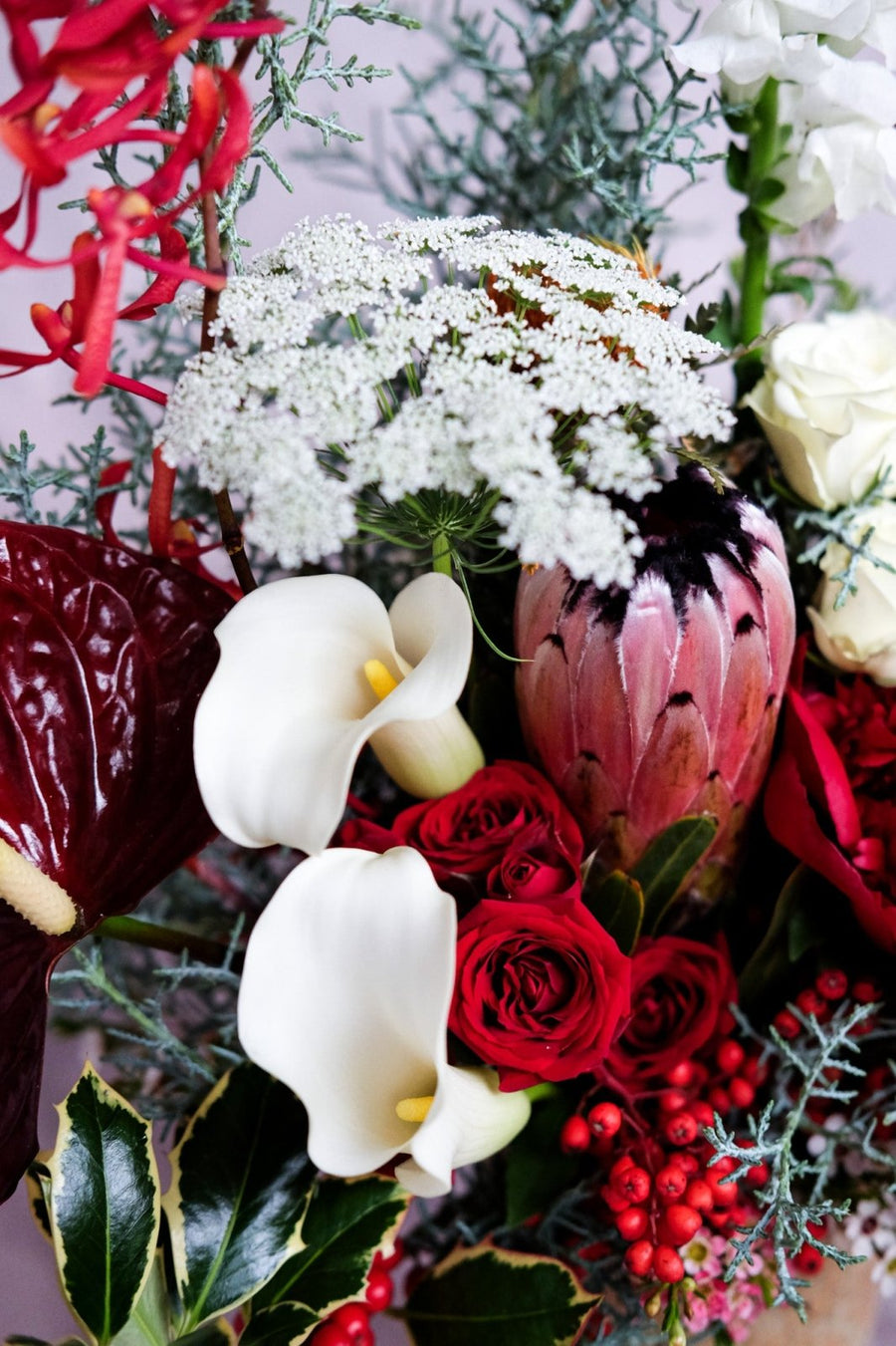 The Spirit of the Gleeful - Christmas Flowers - 