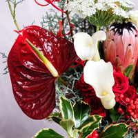 The Spirit of the Gleeful - Christmas Flowers - 