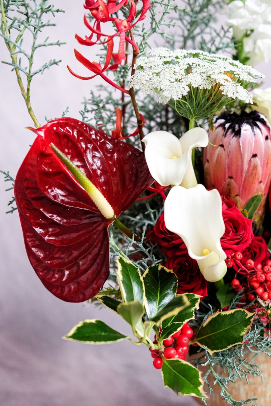 The Spirit of the Gleeful - Christmas Flowers - 