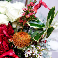 The Spirit of the Gleeful - Christmas Flowers - 