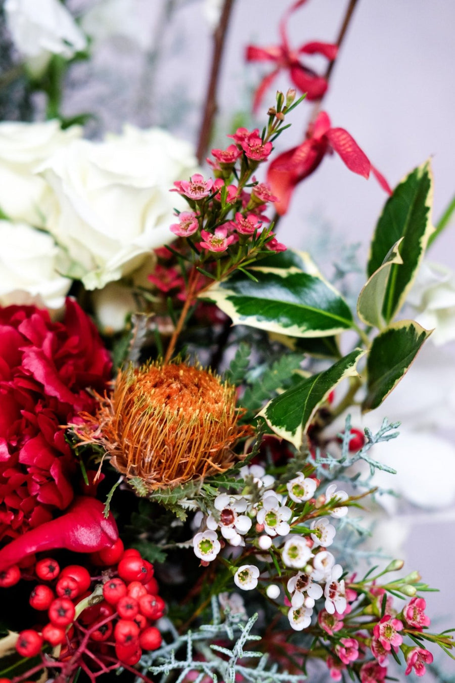 The Spirit of the Gleeful - Christmas Flowers - 
