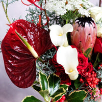 The Spirit of the Gleeful - Christmas Flowers - 
