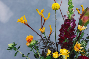 Wild, Wild Love flower arrangement by The Unlikely Florist