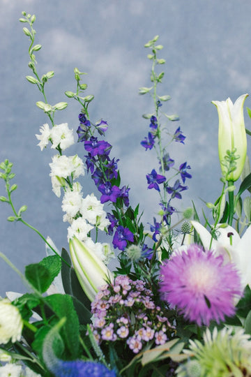 Deep Breath - Arrangement