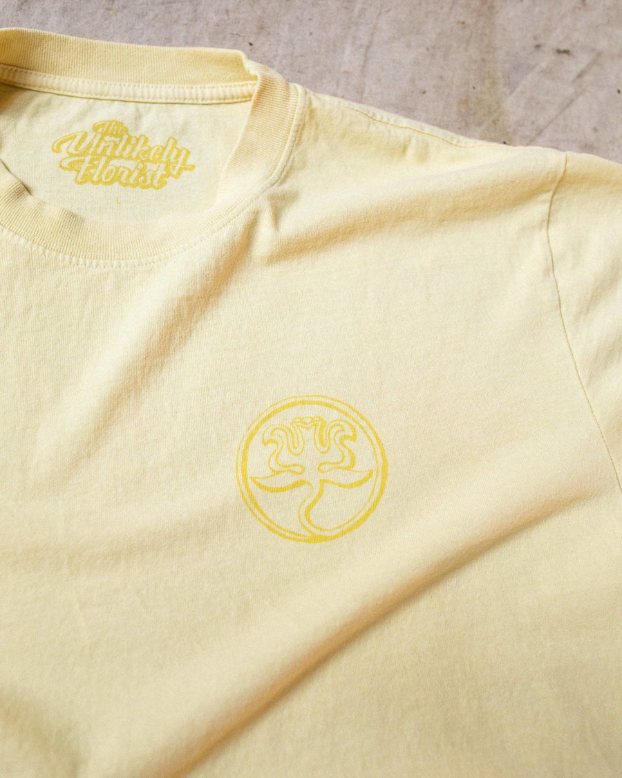 Gaudi's Sagrada Familia, Shirt Delivery, The Unlikely Florist
