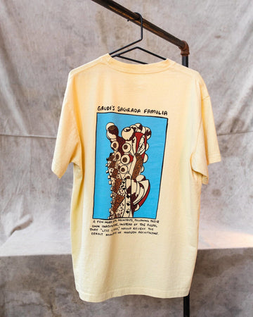 Gaudi's Sagrada Familia, Shirt Delivery, The Unlikely Florist