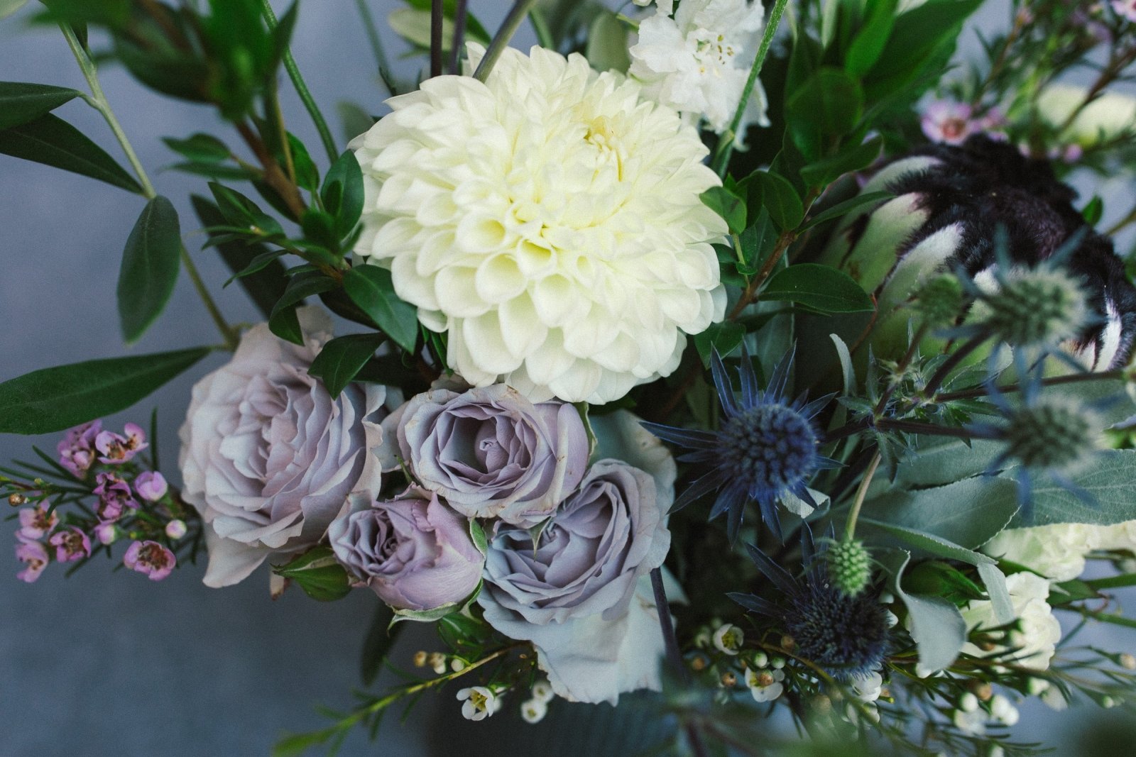 Ray of Light - Arrangement