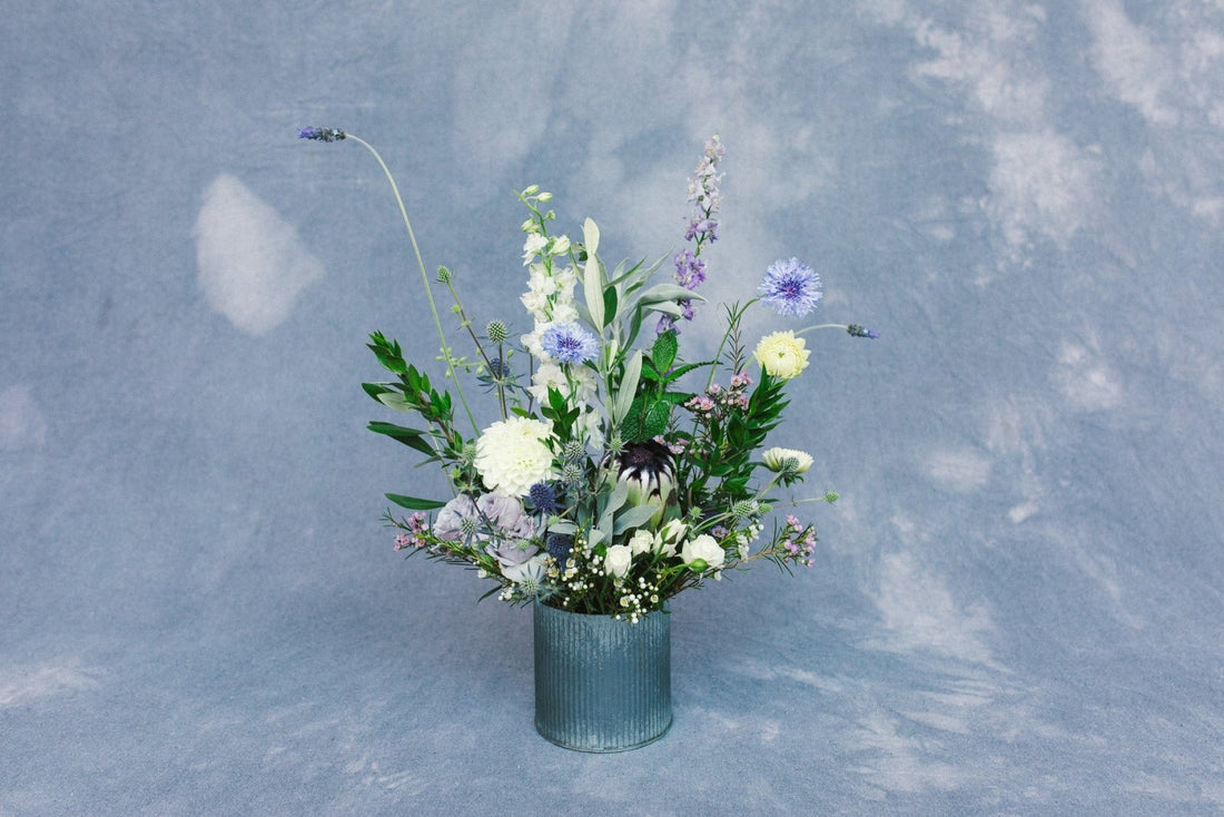 Ray of Light - Arrangement