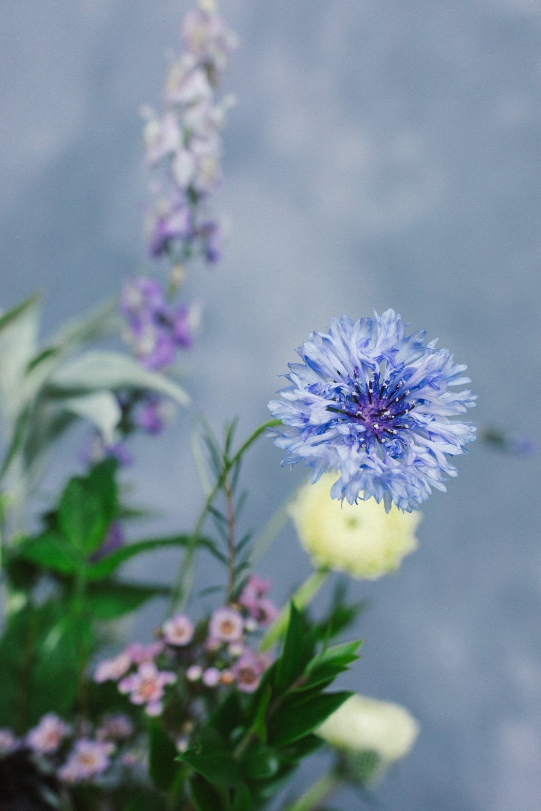 Ray of Light - Arrangement