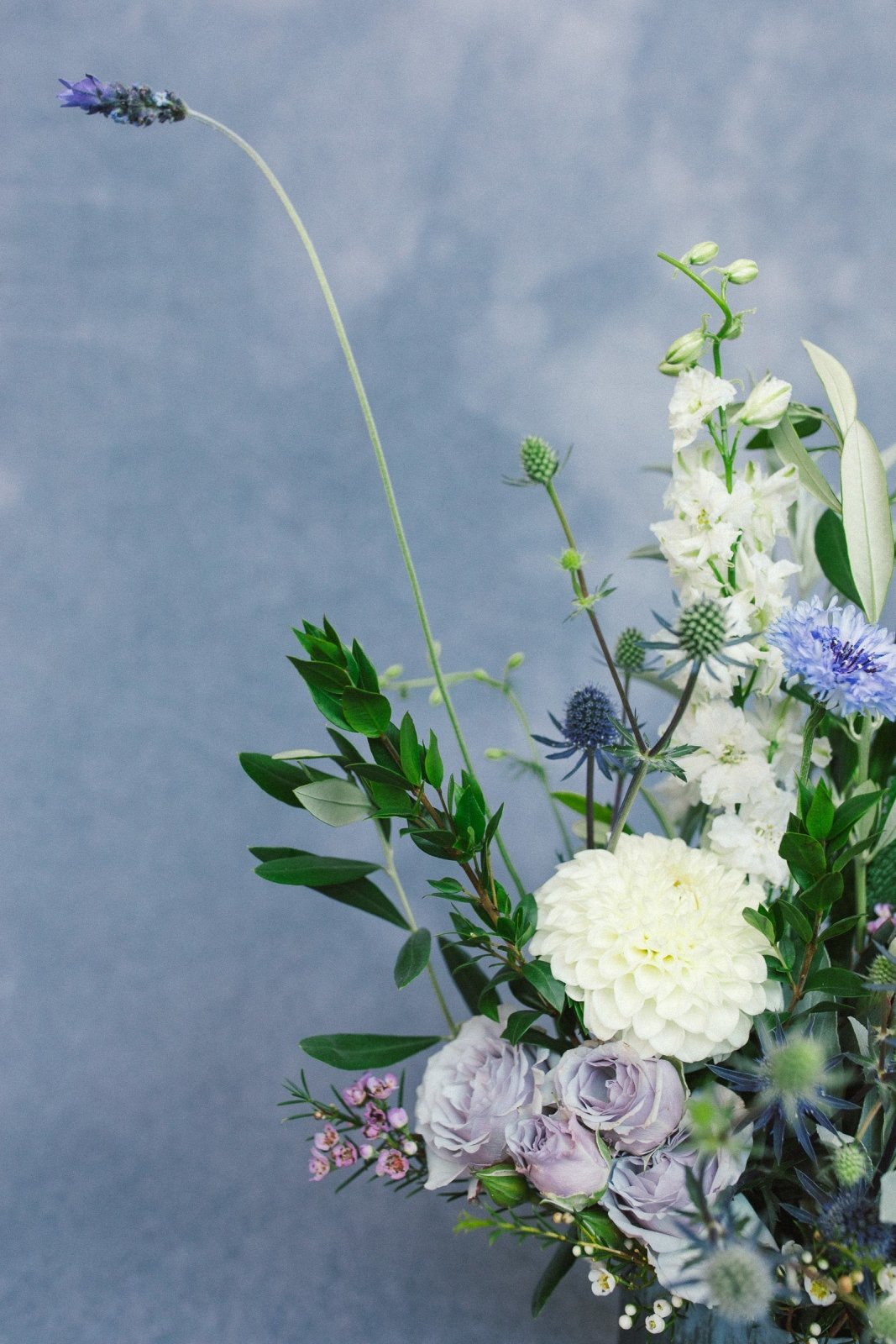 Ray of Light - Arrangement