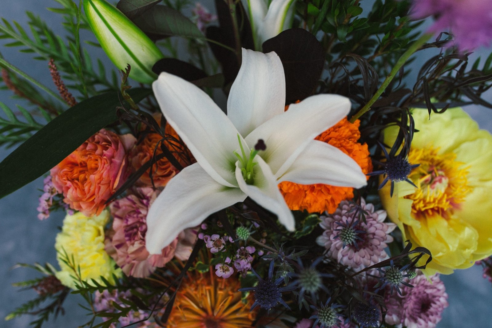 Spring's Essence - Arrangement