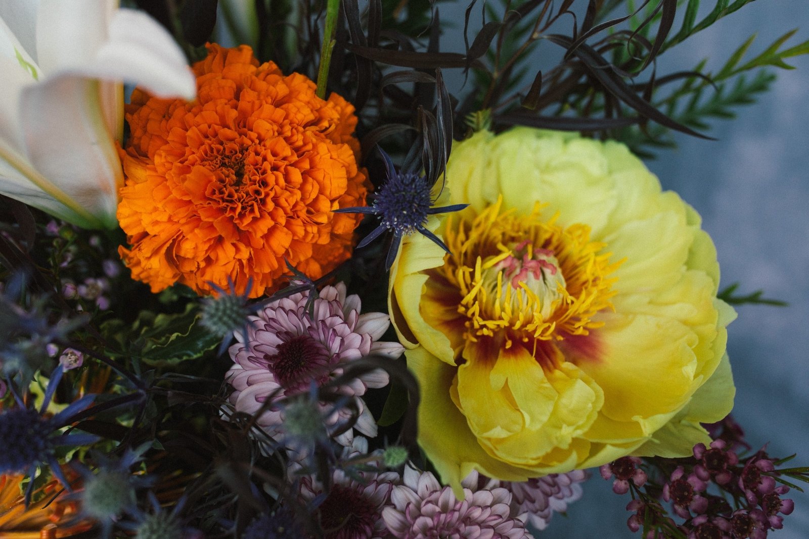 Spring's Essence - Arrangement