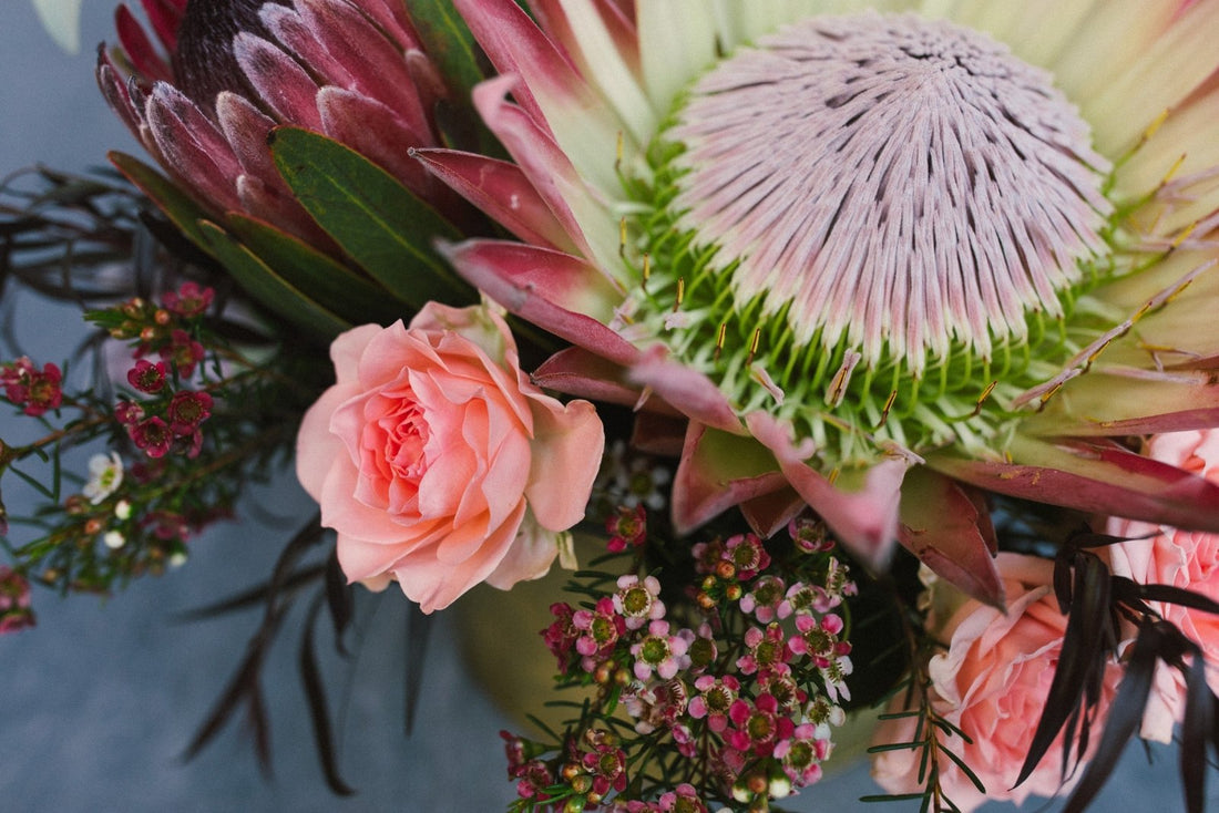 The Beauty - Arrangement