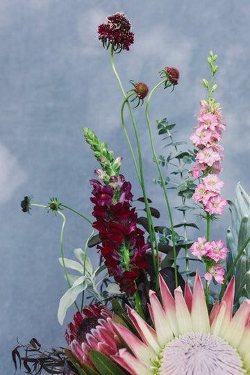 The Beauty - Arrangement